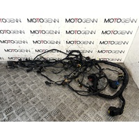 Ducati Streetfighter 1098 2009 complete wiring harness loom