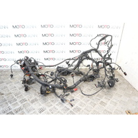 BMW S1000R S 1000 R 2014 complete wiring harness loom