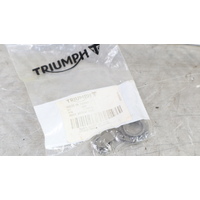Triumph Tiger 800 Pin Spring Abutment - T1190003 
