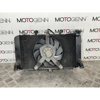 Kawasaki Z900 Z 900 17 radiator with fan & guard grill